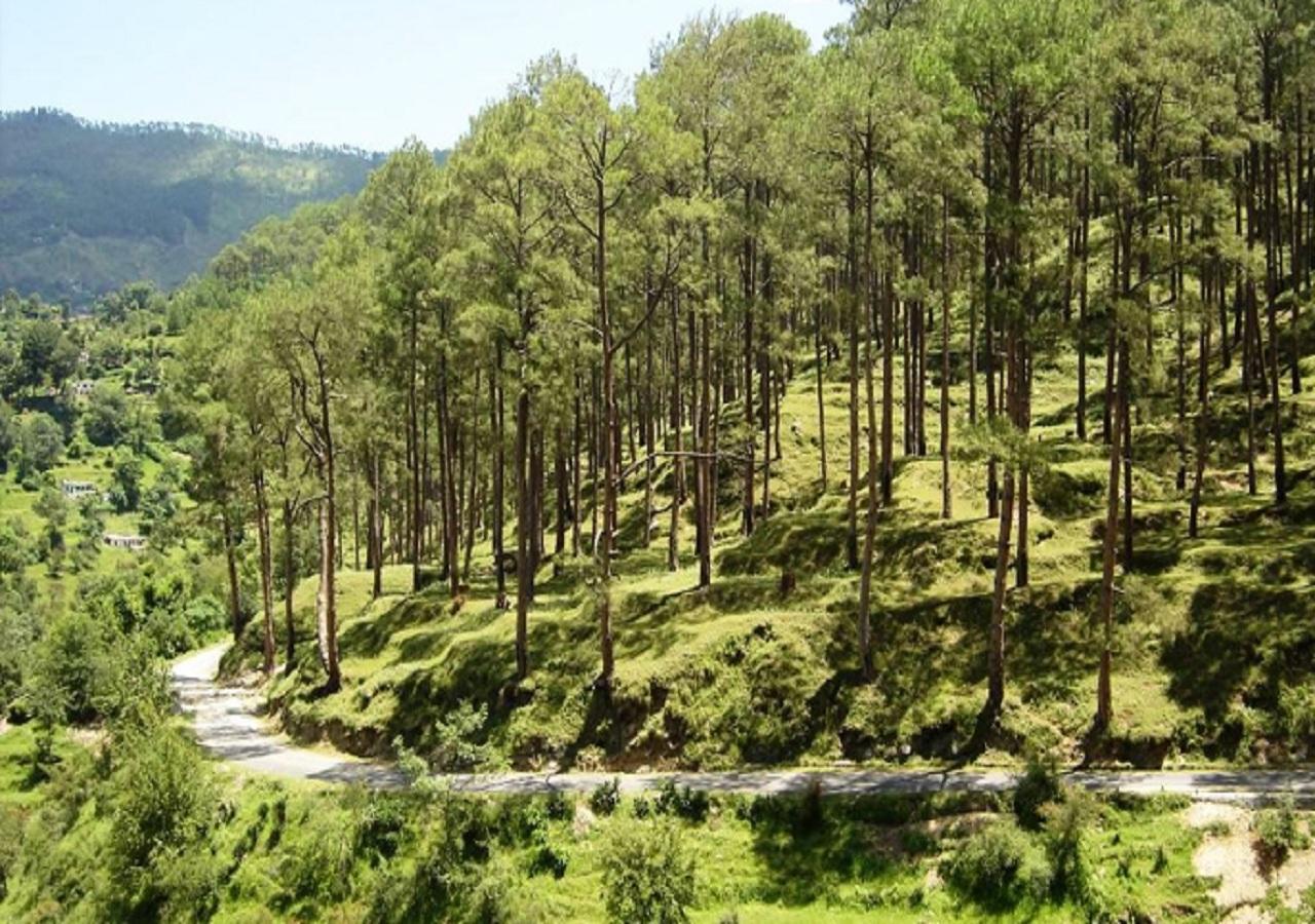 Uttarakhand Resort Kausani Bagian luar foto